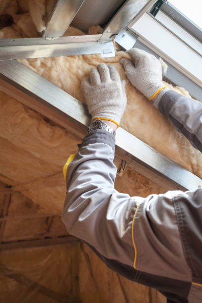 Best Insulation Contractor Near Me  in Aurora, IL