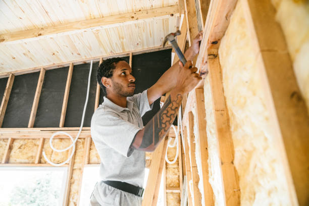 Best Insulation Inspection Services  in Aurora, IL